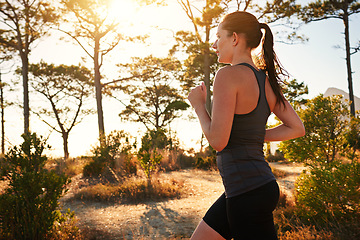 Image showing Fitness, running and woman in forest for morning health, wellness and strong body development. Workout, exercise and girl runner on path in nature for marathon training, performance and challenge.