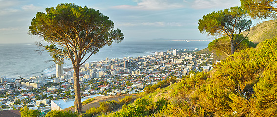 Image showing Cape Town, nature and adventure in South Africa for travel, journey and green with plants and trees. Landscape, sea and holiday or vacation for freedom, buildings and architecture for location