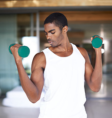 Image showing Bodybuilder, fitness and exercise with dumbbell for workout, training and healthy body in home. Black man, muscle and lifting weights with equipment in house for strength, wellness and development