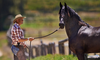 Image showing Cowboy, horse and reins on farm in nature and equestrian park in western ranch in country. Strong, stallion or healthy animal of american quarter thoroughbred, outdoor and calm with trainer in texas