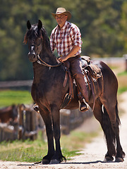 Image showing Cowboy, farm and relax on horse in outdoor, wellness and equestrian sport on western ranch. Strong, stallion and jockey on healthy animal or arabian colt, friends and bonding together for training