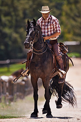 Image showing Cowboy, horse and riding on ranch, equestrian and saddle ride on animal. Stallion, gallop or trot in countryside and outdoor with male senior person, farm and stable in Texas for exercise for mare