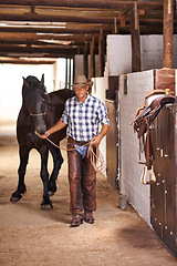 Image showing Cowboy, person and horse in stable for portrait with care, growth and development at farm, ranch or countryside. Man, animal or pet with love, connection and bonding for wellness with nature in Texas