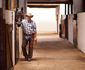 Image showing Portrait, cowboy and man at barn with horse in a stable in Texas with mockup space. Animal, rancher and confident male person in western hat, casual clothes and a farmer with rope for equestrian
