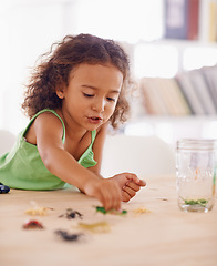 Image showing Girl, child development and toy insect for science in living room of home for education or growth. Study, education and biology with young kid playing in apartment, learning about natural world