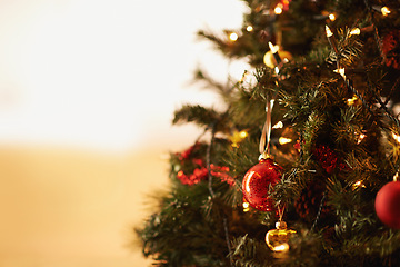 Image showing Christmas tree, decor and interior with bauble for festive, celebration or December ornament at home. Closeup of greenery, decoration or traditional season with shiny ball in new year on mockup space