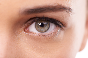 Image showing Woman, closeup and green eye with makeup in studio and optic health with cosmetics or microblading. Model, healthcare and color for cosmetic contact lens in optometry and ophthalmology for vision