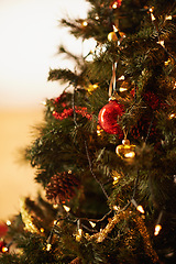 Image showing Christmas tree, decor and interior with lights, ball ornament or bauble for festive, celebration or December at home. Closeup of greenery, decoration or traditional season for new year or holiday