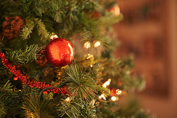 Image showing Christmas tree, decor and interior with bauble or ornament for festive, celebration or December at home. Closeup of greenery, decoration or traditional season with shiny ball for new year or holiday