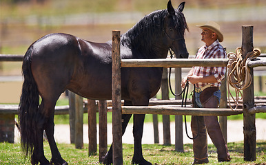 Image showing Cowboy, horse and together on farm in nature, pride and bonding on western ranch in country. Strong, stallion or healthy animal of american quarter thoroughbred, outdoor and calm by trainer in texas