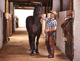 Image showing Cowboy, man and horse in stable for care with stroke, growth and development at farm, ranch or countryside. Person, animal or pet with love, connection and bonding for wellness with nature in Texas