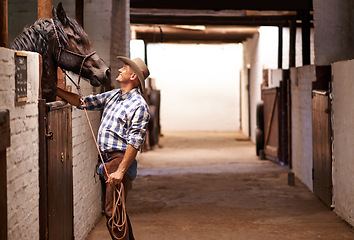 Image showing Cowboy, man and horse in stable with check for care, growth and development at farm, ranch or countryside. Person, animal or pet with love, connection and bonding for wellness with nature in Texas