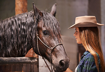 Image showing Horse, farm and ranch owner with woman in barn or stable for work in agriculture or sustainability. Cowgirl, texas or western and serious animal farmer or owner with stallion for equestrian training