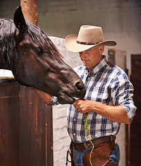 Image showing Cowboy, man and horse with feeding in stable with care, growth and development with smile, ranch and nutrition. Person, animal or pet with love, connection and vegetable for wellness at farm in Texas