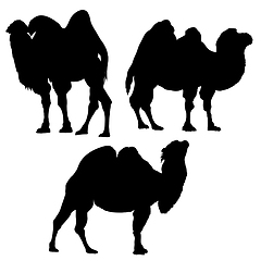 Image showing Camel Silhouette Set