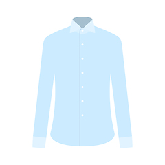 Image showing Business Shirt Icon