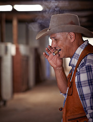 Image showing Smoke, cigar and senior cowboy on ranch for farming, agriculture and care for rodeo animals. Western, countryside and mature farmer, man and rancher with cigarette, tobacco and smoking in Texas
