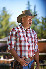 Image showing Farm, thinking and senior cowboy on ranch with lasso for horse, cows and rodeo animals for agriculture. Farming, nature and mature man in environment, countryside and working outdoors in Texas