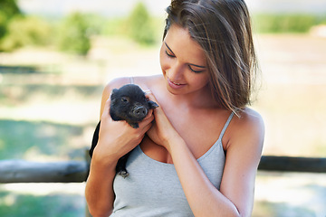 Image showing Woman, pig and animal in outdoor or farmy for pet, volunteer and bonding for play and care. Young person and smile with piglet in hand for adorable, love and cute for stroke on fur for affection