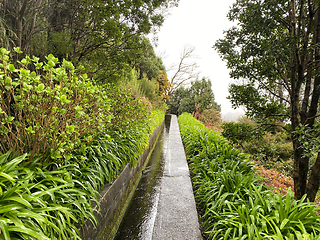 Image showing beautiful Madeira landscape