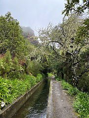 Image showing beautiful Madeira landscape