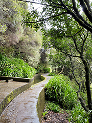 Image showing beautiful Madeira landscape