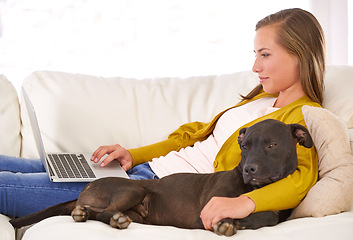 Image showing Woman, typing and laptop by dog on couch, sofa and relax at home with technology, internet and connection for online blog. Female person, pet and computer in living room, house and apartment