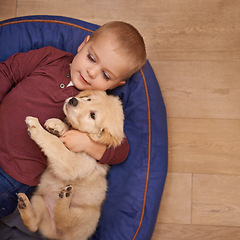 Image showing Child, puppy and hug with home, floor and pet with love at house. Kid, dog and golden retriever or sleepy labrador with embrace, bond and sharing together with boy and high angle of animals or pets