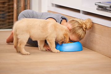 Image showing Puppy, share and bowl with food, child and meal or bond with pet at home or house. Golden retriever, girl and dog with hungry, play or eating for happy growth in wood floor kitchen with youth