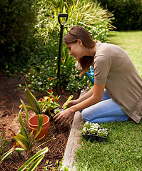 Image showing Woman, flowers and gardening for agriculture in backyard with garden shovel, happiness and sustainability. Gardener, person and green fingers with plants and soil for growth or eco friendly hobby