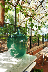 Image showing Outdoor, greenhouse and table with glass in nature, ecology and carbon capture for eco environment with plant for natural sustainable growth. Earth day and health for ecosystem and clean energy