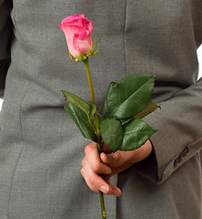 Image showing Surprise Rose
