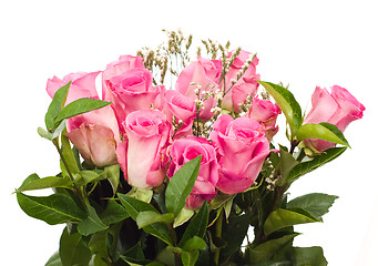 Image showing Isolated Fresh Roses