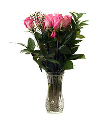 Image showing Dozen Roses