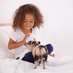 Image showing Child, piglet and feeding bottle for food in home, pet care and liquid nutrition on bed in bedroom. Female person, girl and learn responsibility in childhood, love and relax by animal with formula