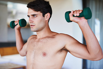 Image showing Man, biceps and dumbbells for weightlifting, fitness and muscle training for strong body and self care. Topless athlete, exercise and endurance in workout at home for health, wellness and strength