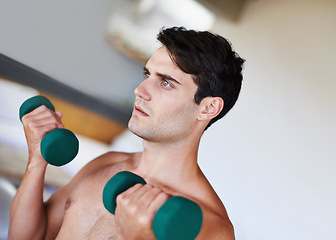 Image showing Man, dumbbells for weightlifting and fitness, muscle training for strong body and self care in apartment. Topless athlete, exercise and endurance in workout at home for health, wellness and strength