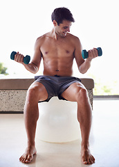 Image showing Man, exercise ball and dumbbells for weightlifting, fitness and muscle training for body and self care. Topless athlete, smile and endurance in workout at home for health, wellness and strength