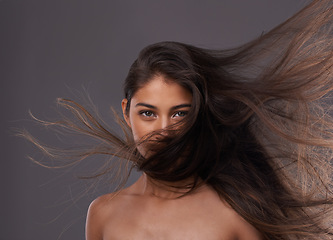 Image showing Portrait, woman or wind as hair care, hairdressing or beauty as healthy, change or growth for scalp. Long, natural or hairstyle as grooming for texture, shine or volume in studio on grey background