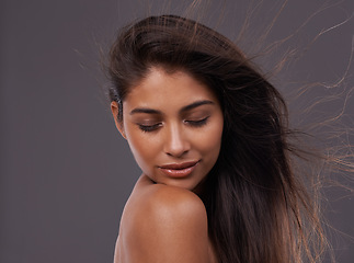 Image showing Wind, face and closeup of woman for hair care, treatment and blow dry with mockup space isolated on studio background. Female person, adult and hairstyle for shampoo, hairdressing and cosmetology