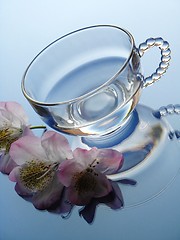 Image showing Rhododendron and glass pot