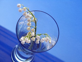 Image showing lily of the valley - detail