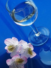 Image showing laurel and glass of water