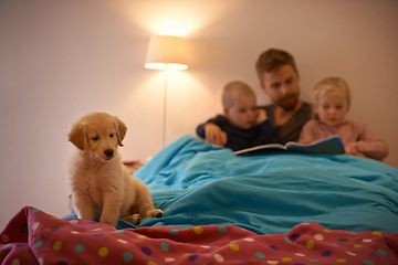 Image showing Night, kids or father reading book in bed for learning, education or storytelling at home with dog. Family, relax or dad with children siblings for a fun fantasy with a pet puppy or golden retriever