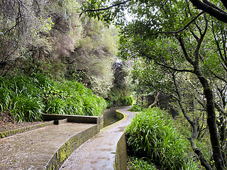 Image showing beautiful Madeira landscape