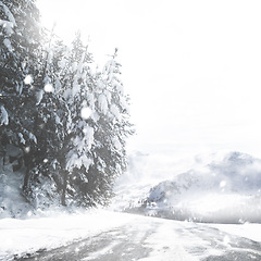Image showing Road, snow covered and storm in nature, cold and ice weather conditions with dangerous to travel. Woods, winter and frost in outdoor with wet woodland path and extreme climate for safety with driving