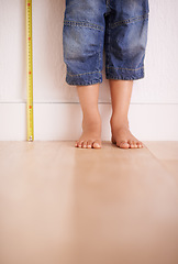 Image showing Child, wall and kid with tape measure for height, tracking growth or progress with feet in house. Legs, toddler and little person with development for size, length and stand on wooden floor at home