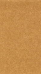 Image showing Corrugated cardboard seamless background - vertical