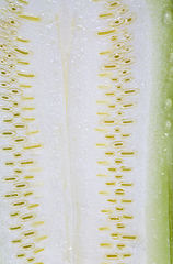 Image showing cut into parts ripe delicious zucchini,