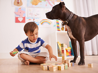 Image showing Child, toy and development in playroom with dog for friends and learning with color and picture for fun at home. Young kid and recreation for childhood and growing for innocent and adorable with pet